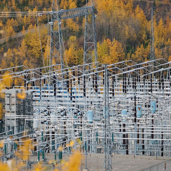 Power lines surrounded by yellow-leaved trees